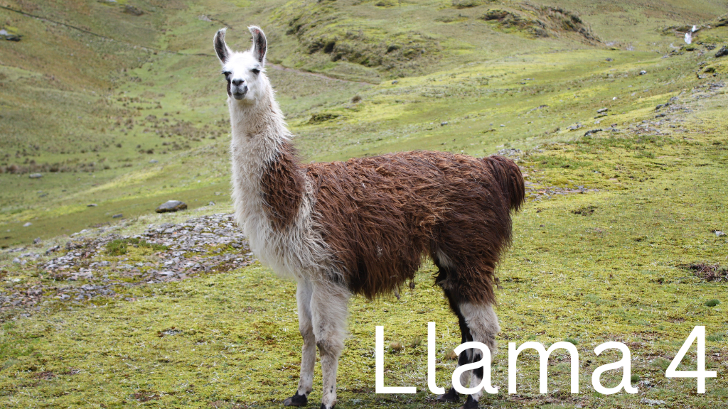 Llama 4